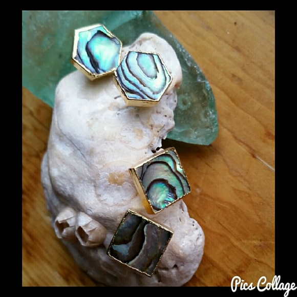 Natural Abalone Shell Earrings - Picture 2 of 8